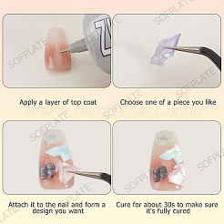 1 Set 12 Colors Shell Slices&nbsp;MRMJ-SP0001-05B