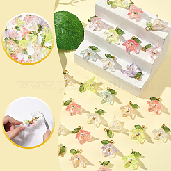 48Pcs 8 Colors Transparent Acrylic Pendants&nbsp;FIND-SC0016-70