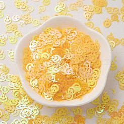 Ornament Accessories Plastic Paillette/Sequins Beads&nbsp;PVC-E001-13-RC02