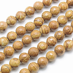 Natural Petrified Wood Beads Strands&nbsp;G-G542-6mm-06