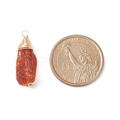 Natural Amber Pendants&nbsp;PALLOY-JF01827-02