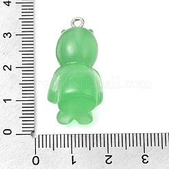 Transparent Resin Pendants&nbsp;FIND-Z124-04P