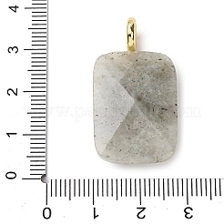 Natural Labradorite Faceted Pendants&nbsp;X-G-B186-01G-01