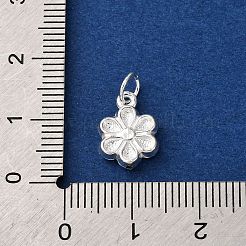 925 Streling Silver Pendants&nbsp;STER-P070-02S