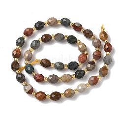 Natural Alashan Agate Beads Strands&nbsp;G-F809-A24-01
