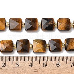 Natural Tiger Eye Beads Strands&nbsp;G-L642-L03-10mm-02