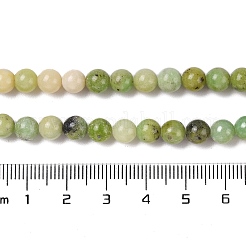 Natural Serpentine Bead Strands&nbsp;G-N166-6-1