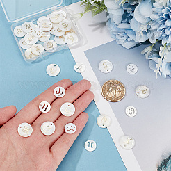Natural Freshwater Shell Pendant Sets&nbsp;SHEL-PH0001-54