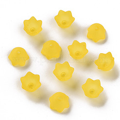 Transparent Acrylic Beads Caps&nbsp;PL543-2