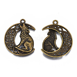 Tibetan Style Alloy Pendants&nbsp;TIBEP-N008-103