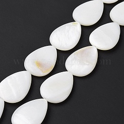 Natural Freshwater Shell Beads Strands&nbsp;X-SHEL-H001-12