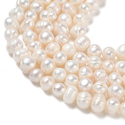 Natural Cultured Freshwater Pearl Beads Strands&nbsp;PA-CBAC463-17