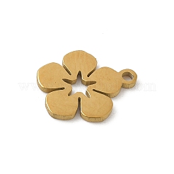 304 Stainless Steel Charms&nbsp;STAS-G355-15G