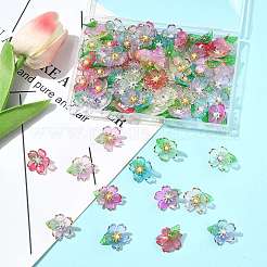 70Pcs Transparent Acrylic Pendants&nbsp;PALLOY-FS00050