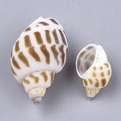 Spiral Shell Beads&nbsp;SSHEL-S258-54