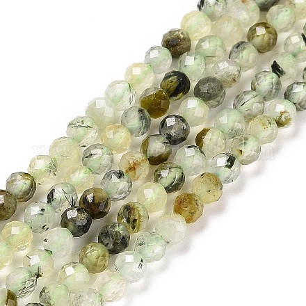 Natural Prehnite Beads Strands&nbsp;G-C009-A20-1