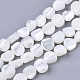 Trochus Shell Beads Strands&nbsp;SHEL-T016-10-1