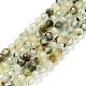 Natural Prehnite Beads Strands&nbsp;G-C009-A20-1