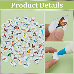1Set Glass Cabochons&nbsp;GGLA-PH0001-65F
