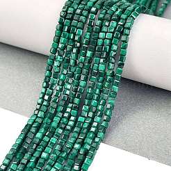Natural Malachite Beads Strands&nbsp;G-C009-B24-01