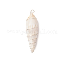 Copper Wire Wrapped Natural Spiral Shell Big Pendants&nbsp;PALLOY-JF03397-01