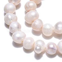 Natural Cultured Freshwater Pearl Beads Strands&nbsp;PEAR-N013-04E