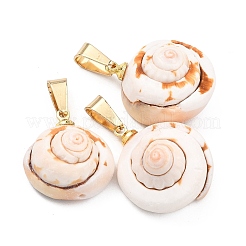 Natural Shiva Eye Shell Pendants&nbsp;PALLOY-JF05359
