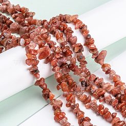 Natural Carnelian Beads Strands&nbsp;G-G011-01