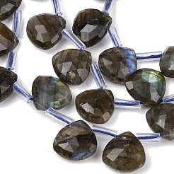 Natural Labradorite Beads Strands&nbsp;G-L654-L03-01