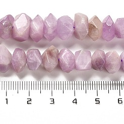 Natural Kunzite Beads Strands&nbsp;G-N327-05-10