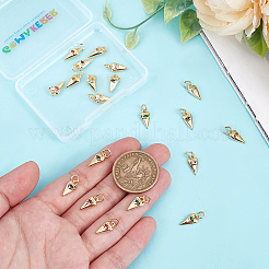 20Pcs Brass Micro Pave Cubic Zirconia Pendants&nbsp;KK-GO0002-10
