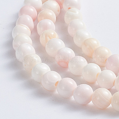 Natural Pink Shell Beads Strands&nbsp;SSHEL-L016-18C