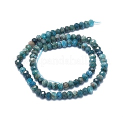 Natural Apatite Beads Strands&nbsp;G-F715-101B