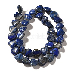 Natural Lapis Lazuli Beads Strands&nbsp;G-R190-10mm-54B