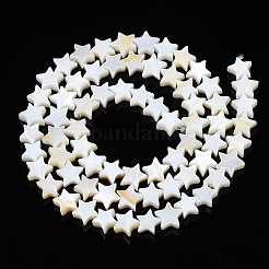 Natural Freshwater Shell Beads Strands&nbsp;LS-SHEL-S278-01A-01