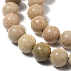 Natural Picture Jasper Beads Strands&nbsp;G-G184-A03-01