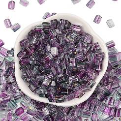 Transparent Spray Painted Glass Seed Beads&nbsp;SEED-L011-10A-02