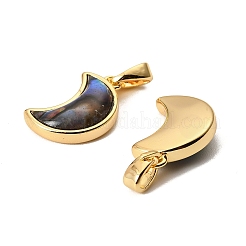 Natural Paua Shell Crescent Moon Charms&nbsp;KK-G538-18G