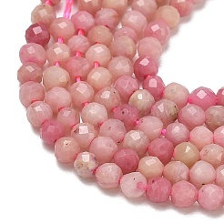Natural Rhodonite Beads Strands&nbsp;G-P553-G06-01
