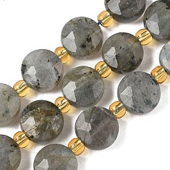 Natural Labradorite Beads Strands&nbsp;G-G271-C09-10mm