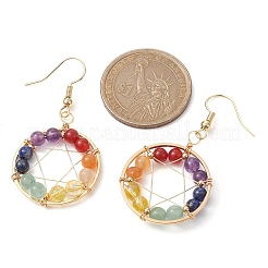Natural Mixed Gemstone Round Beaded Dangle Earrings&nbsp;EJEW-JE05456-01