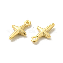 Brass Charms&nbsp;KK-H442-08G
