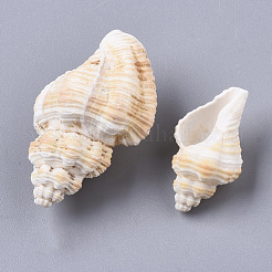 Natural Spiral Shell Beads&nbsp;SSHEL-S258-75