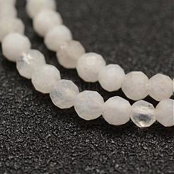 Natural Rainbow Moonstone Beads Strands&nbsp;G-F460-44