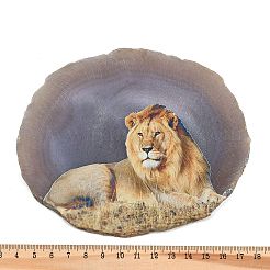Printed Natural Agate Slice Stone Ornament&nbsp;DJEW-M011-04E
