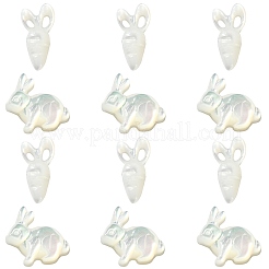 6Pcs 2 Styles Natural White Shell Beads&nbsp;BSHE-CJ0001-05