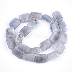Natural Labradorite Beads Strands&nbsp;X-G-T121-13