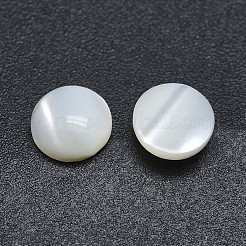 Shell Cabochons&nbsp;SSHEL-P015-61-10mm