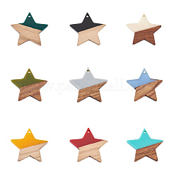 18Pcs 9 Colors Resin & Walnut Wood Pendants&nbsp;RESI-BT0001-08