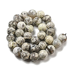 Faceted Natural Fire Crackle Agate Beads Strands&nbsp;G-F447-12mm-H03
